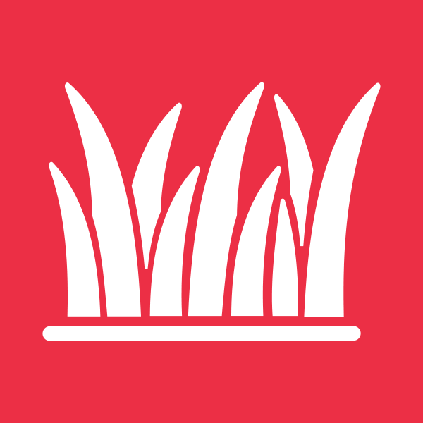 چمن مصنوعی