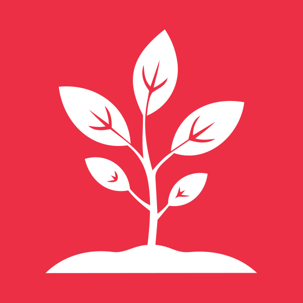 پرورش نهال
