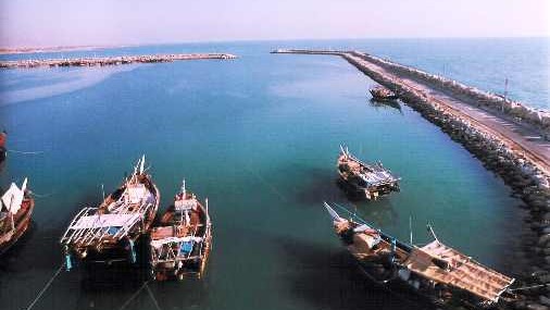 بندر عامری