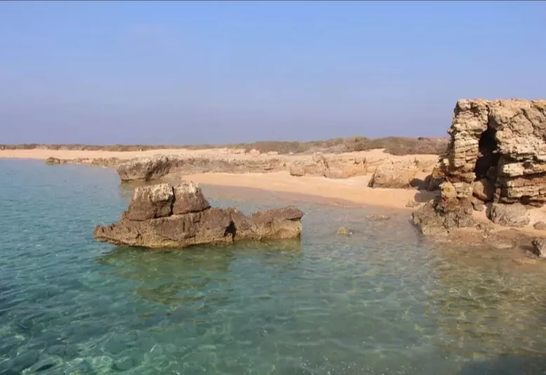 مولیات