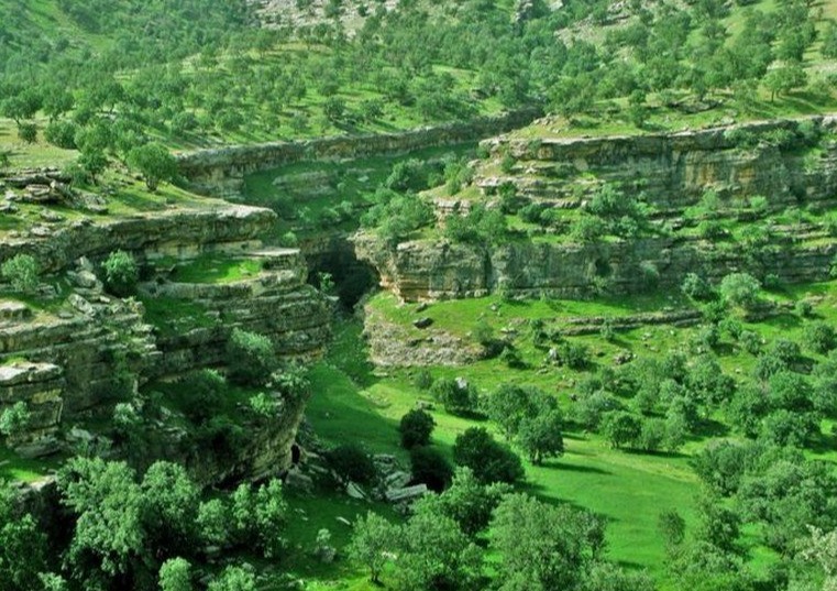 دشت بدره