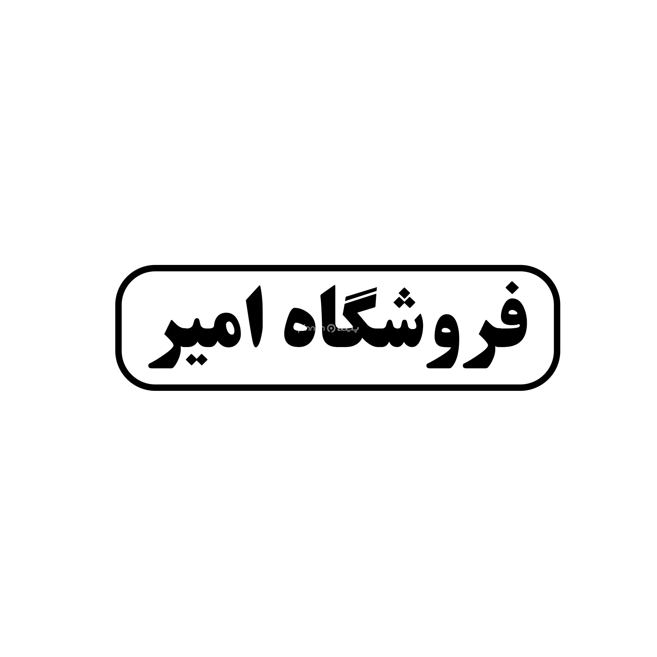 امیر
