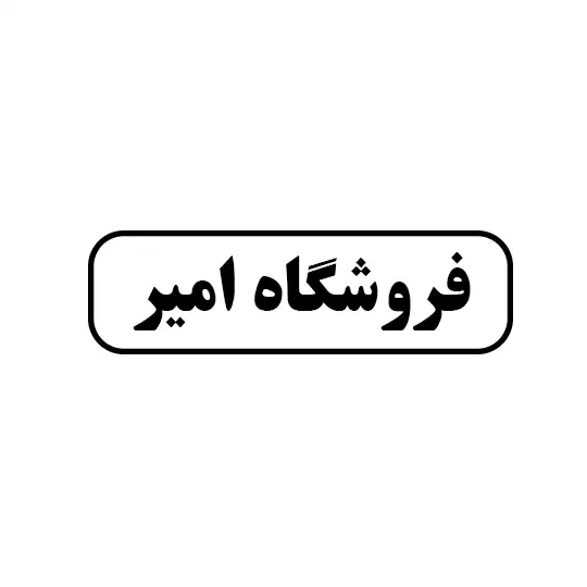 امیر