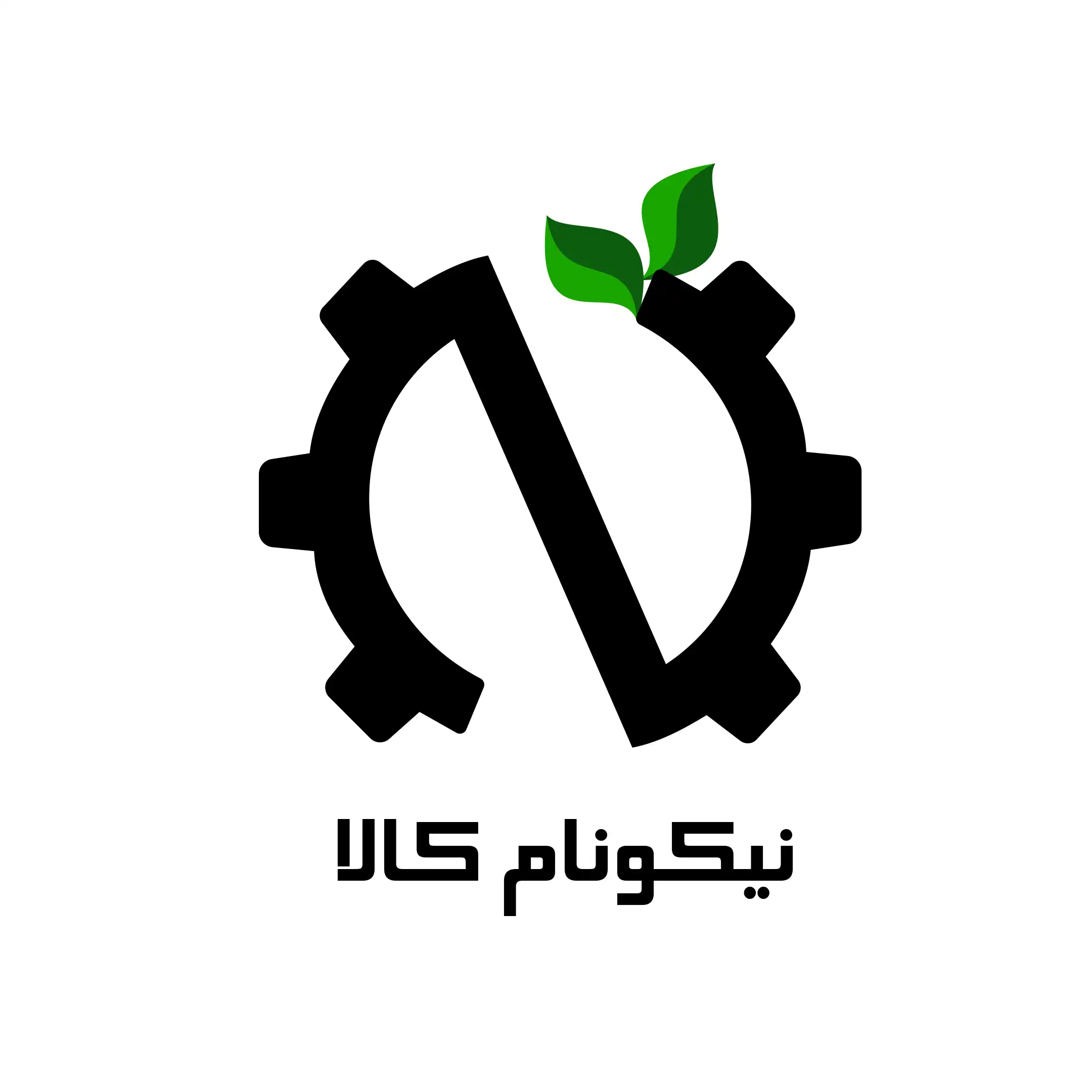 نیکونام 