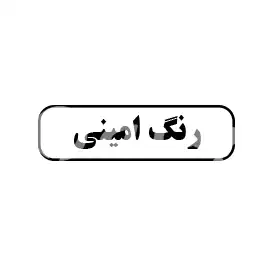 رنگ امینی 