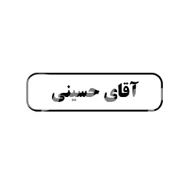 آقای حسینی 