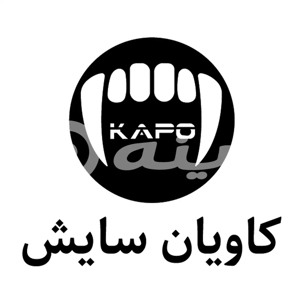 کاویان سایش پویا