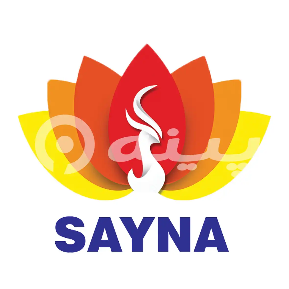 ساینا