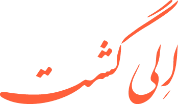 الی‌گشت