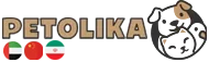 پتولیکا