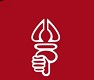 البرز