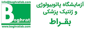 بقراط