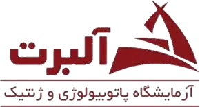 آلبرت