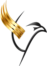 گشت نوید